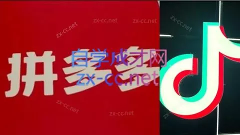 老陶电商·拼多多+抖音小店无货源开店(更新4月) - 项目资源网