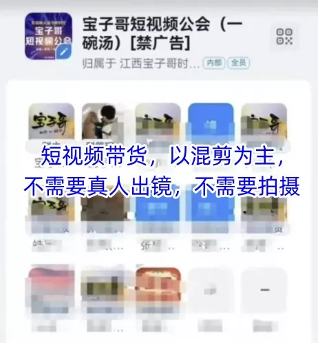 宝子哥头部团队短视频带货，以混剪为主，不需要真人出镜，不需要拍摄【更新26年1月】 - 项目资源网
