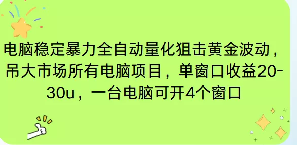 电脑EA策略挂机项目单窗口收益20-30u，单电脑可挂5-10个窗口收益稳健4位数 - 项目资源网