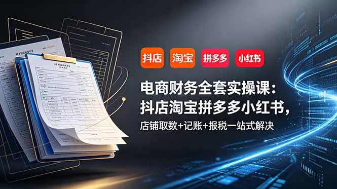 电商财务全套实操课：抖店淘宝拼多多小红书，店铺取数+记账+报税一站式解决 - 项目资源网