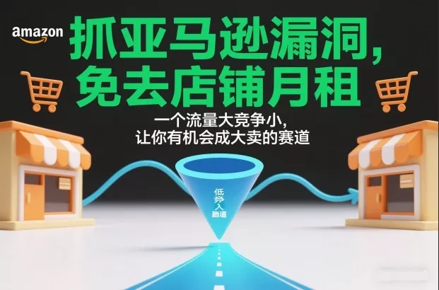 抓亚马逊漏洞，免去店铺月租，一个流量大竞争小，让你有机会成大卖的赛道 - 项目资源网