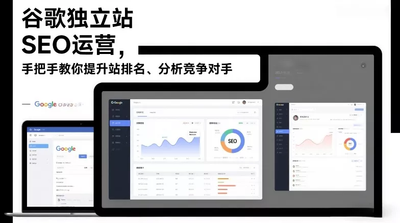 谷歌独立站SEO运营，手把手教你提升网站排名、分析竞争对手(更新2026) - 项目资源网