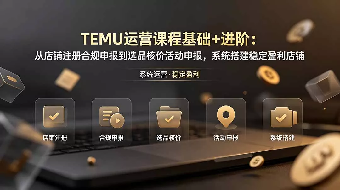 TEMU运营课程(基础+进阶 - 项目资源网