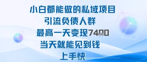 2025年小白都能做的私域项目引流负债人群最高一天变现1k+高变现难度低当天就能见到钱上手快 - 项目资源网