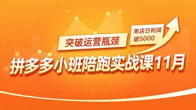 拼多多小班陪跑实战课11月，强付费矩阵、原价活动、暗券引流，突破运营瓶颈，单店日利润破5000 - 项目资源网