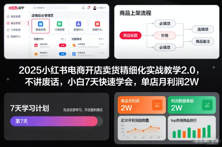 2025小红书电商开店卖货精细化实战教学2.0，不讲废话，小白7天快速学会，单店月利润2W - 项目资源网