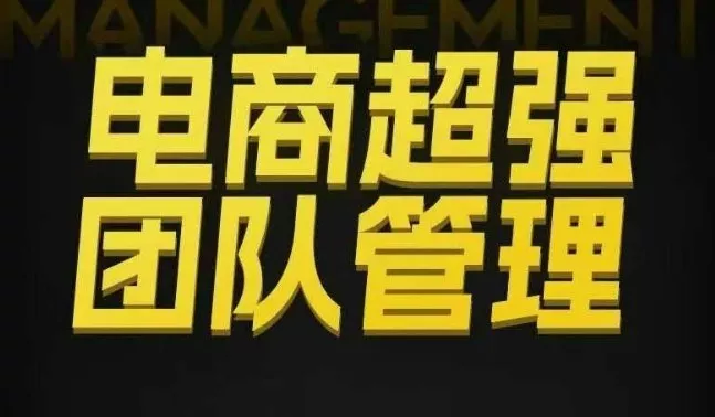 电商超强团队管理，组织绩效，到用人执行，分权合伙 - 项目资源网