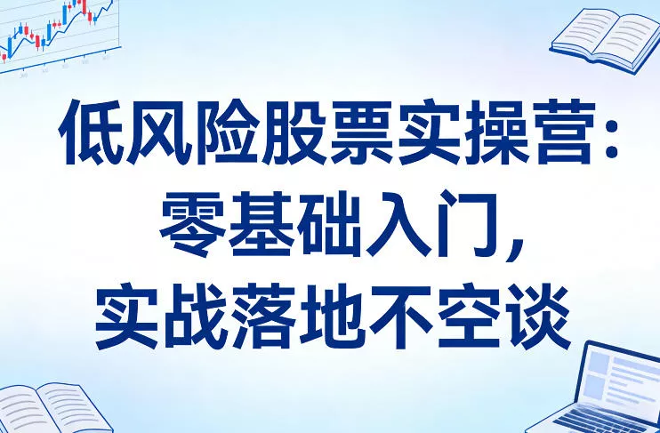 低风险股票实操营：零基础入门，实战落地不空谈 - 项目资源网