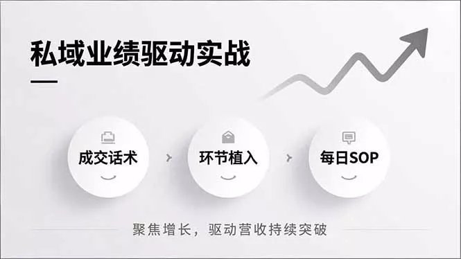 私域业绩驱动实战，成交话术、环节植入、每日SOP，聚焦增长，驱动营收持续突破 - 项目资源网