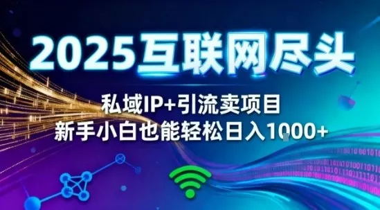 2025网创尽头王炸项目！私域IP+精准引流，新手小白在家躺賺日入1k，零经验也能上手【揭秘】 - 项目资源网