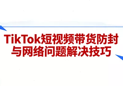 老谭·TikTok短视频带货实拍课程 - 项目资源网