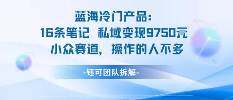 蓝海项目：16条笔记私域变现9750米小众赛道操作的人不多 - 项目资源网