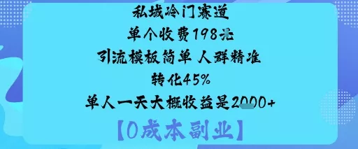 私域冷门赛道:单个收费198米引流模板简单人群精准转化45%单人一天大概收益是1k+ - 项目资源网