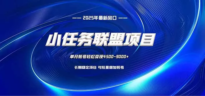 小任务联盟项目：一台电脑每天只需10分钟，轻松简单稳定 - 项目资源网