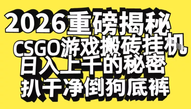 2026开年重磅解密，CSGO游戏搬砖挂G日入1k+的秘密，把倒狗的底裤扒干【揭秘】 - 项目资源网