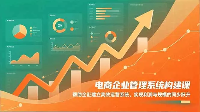 电商企业管理系统构建课：帮助企业建立高效运营系统，实现利润与规模的同步跃升 - 项目资源网