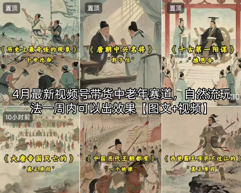 4月最新视频号带货中老年赛道，自然流玩法一周内可以出效果【图文+视频】 - 项目资源网