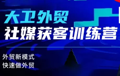 大卫老师·外贸社媒获客独家训练营(更新6月) - 项目资源网