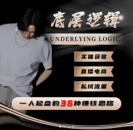 一个人起盘的底层逻辑，私域流量-直播电商-实体获客，一人起盘的36种賺钱思路 - 项目资源网