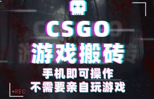 CSGO游戏挂G捡漏，单日扫货5张+，年底小高峰上车可吃肉，手机即可操作，兼职副业创业网创【揭秘】 - 项目资源网
