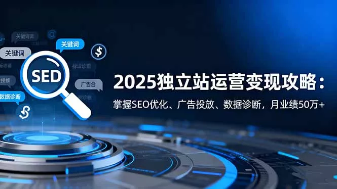 2025独立站运营变现攻略：掌握SEO优化、广告投放、数据诊断，月业绩50万+ - 项目资源网