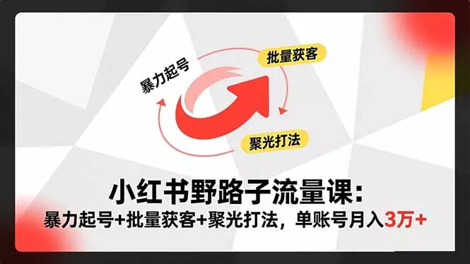 小红书野路子流量课：暴力起号+批量获客+聚光打法，单账号月入3万+ - 项目资源网