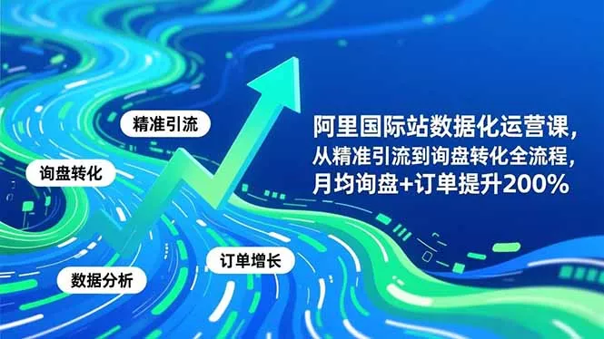 阿里国际站数据化运营课-3月，从精准引流到询盘转化全流程，月均询盘+订单提升200% - 项目资源网
