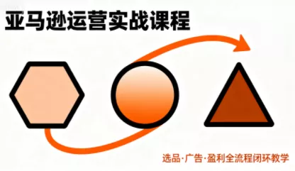 毕方电商·亚马逊全站会员课程(更新3月) - 项目资源网