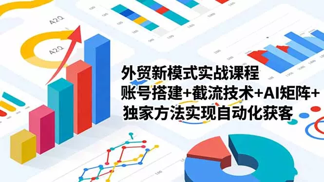外贸新模式实战课程-更新2月，账号搭建+截流技术+AI矩阵+独家方法实现自动化获客 - 项目资源网