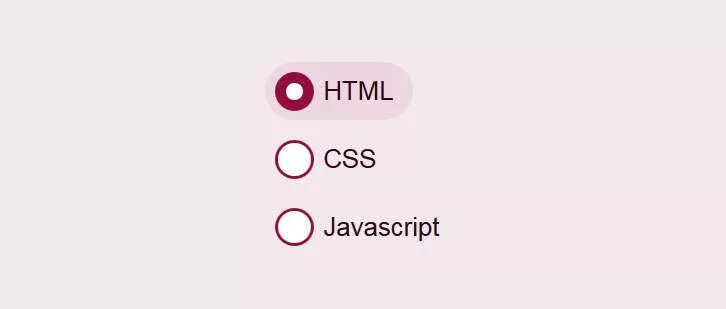 css3美化单选按钮点击选中动画特效 - 项目资源网