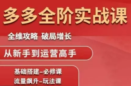 大炮·拼多多全阶实战课程(更新2026) - 项目资源网