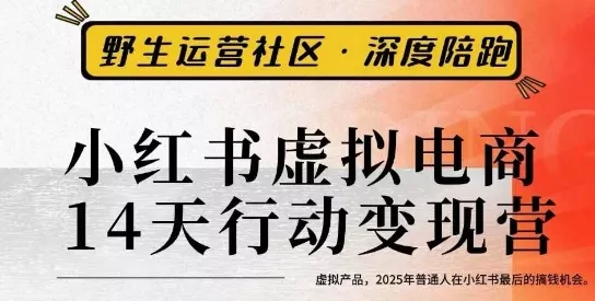 小红书虚拟电商14天变现训练营3.0，虚拟产品，2025年普通人在小红书最后的搞钱机会 - 项目资源网