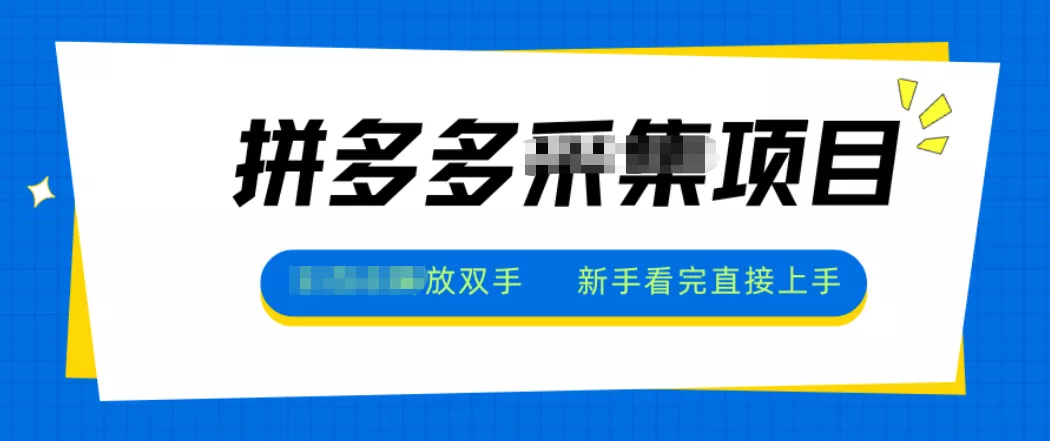 拼多多电商采集，一小时50+，操作简单，零投资 - 项目资源网