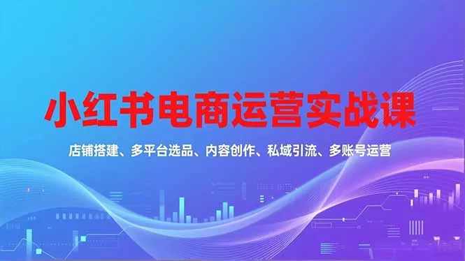 小红书电商运营实战课，店铺搭建、多平台选品、内容创作、私域引流、多账号运营等玩法 - 项目资源网
