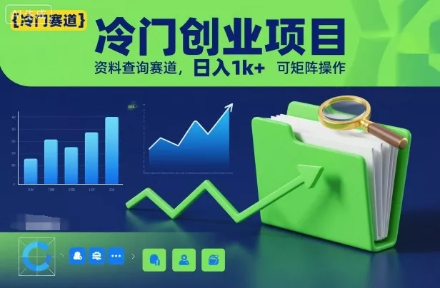 冷门创业项目，资料查询赛道，日入1k+，可矩阵操作 - 项目资源网
