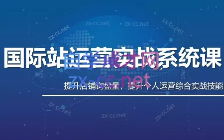 白老师·国际站运营实战系统(高质量询盘增长课)(部分更新) - 项目资源网