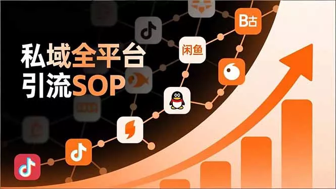 私域全平台引流SOP，抖音/快手/小红书/微信/QQ/B站/闲鱼等，技术合集，高效转化公域流量 - 项目资源网