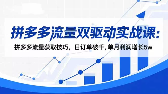 拼多多流量双驱动实战课：拼多多流量获取技巧，日订单破千,单月利润增长5w - 项目资源网