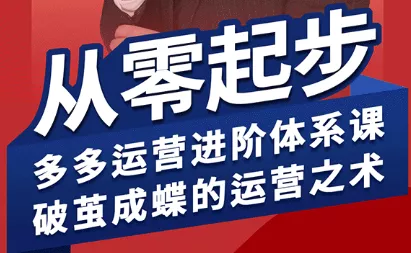 海神·拼多多运营进阶系统课(更新2026) - 项目资源网