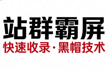SEO野路子实战全集：快速收录、站群霸屏、黑帽技术 - 项目资源网