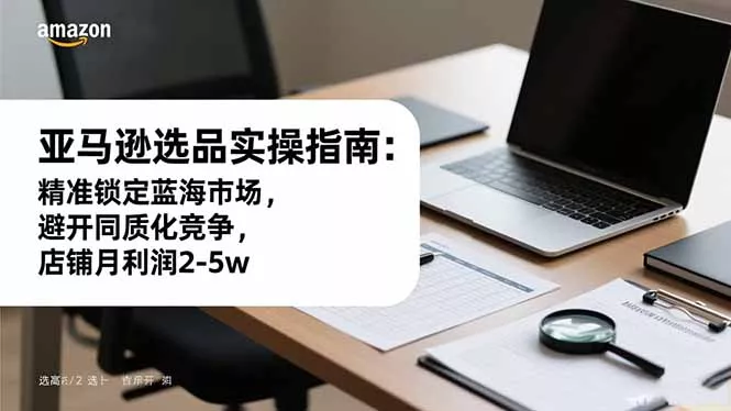 亚马逊选品实操指南：精准锁定蓝海市场，避开同质化竞争，店铺月利润2-5w - 项目资源网