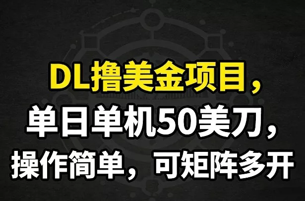 DL撸美金项目，单日单机50美刀，操作简单，可矩阵多开 - 项目资源网